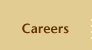 Careers